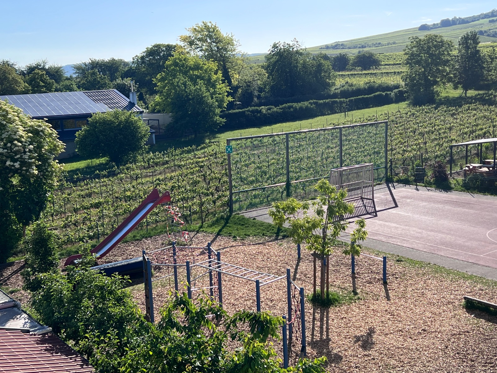 Blick vom Schulgeb&auml;ude &uuml;ber den Schulhof in die Weinberge
